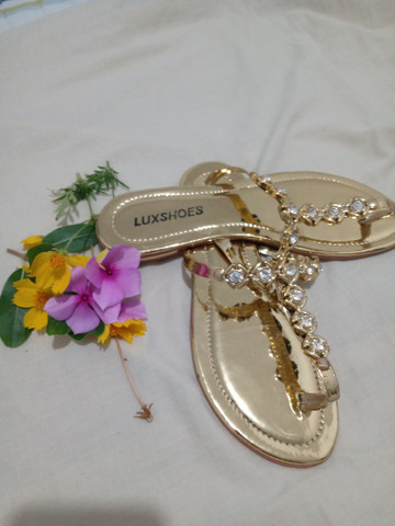 lux shoes calçados