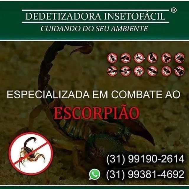 Dedetização e Desentupimento Inseto Fácil  - Foto 2
