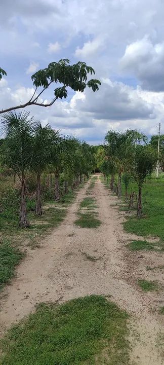 Chácara no Rio dos bois em Cezarina  - Foto 2