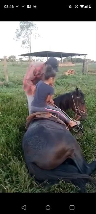 Domador de cavalos - Foto 6