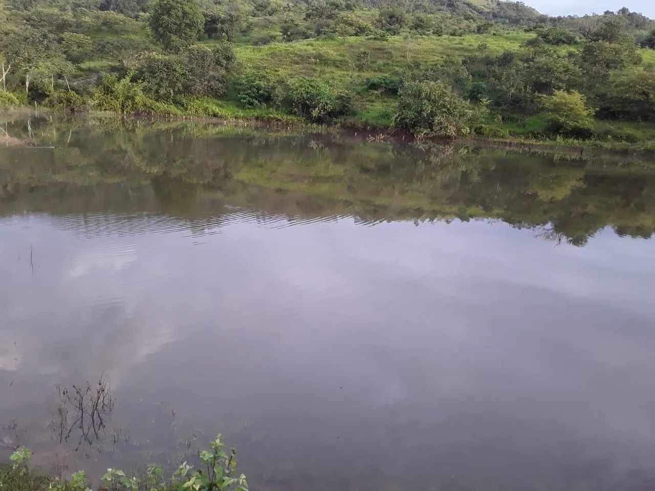 Fazenda de 250 alqueires cocalzinho-go - Foto 4