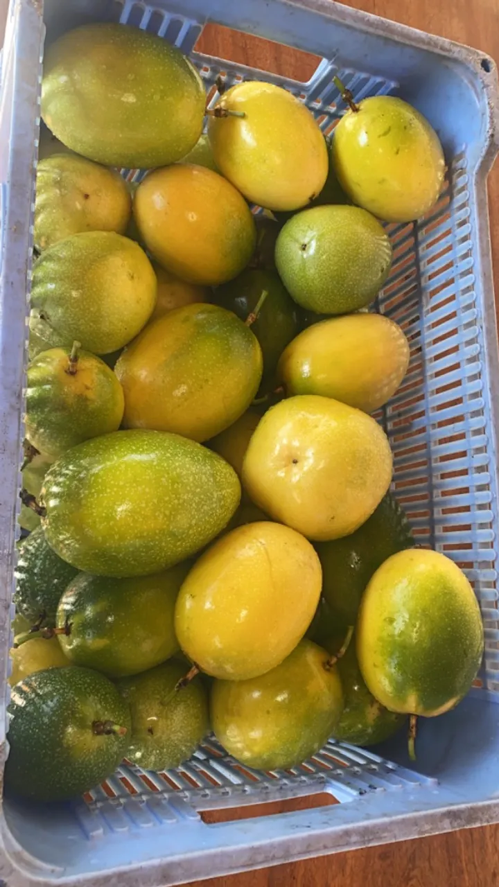 Maracujá azedo maracuja