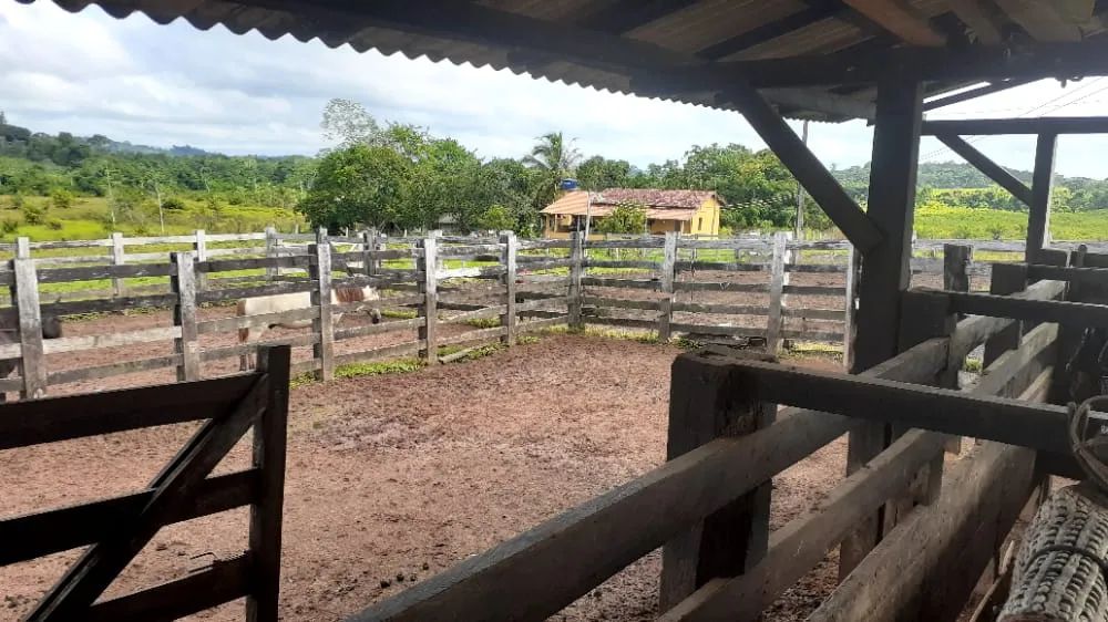 Fazenda para venda tem 1.113 Hectares em Breu Branco. PA.