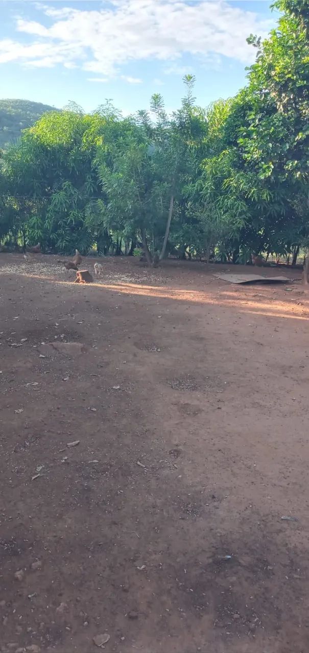 Foto - Goiânia - Jardim Goiás