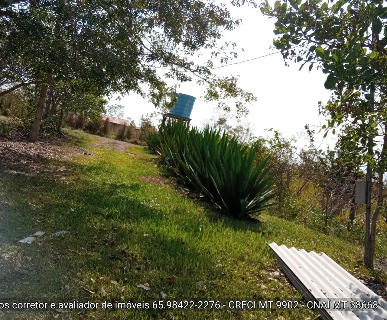 sítio de 34 hectares no assentamento comunidade sadia 3 - Foto 5