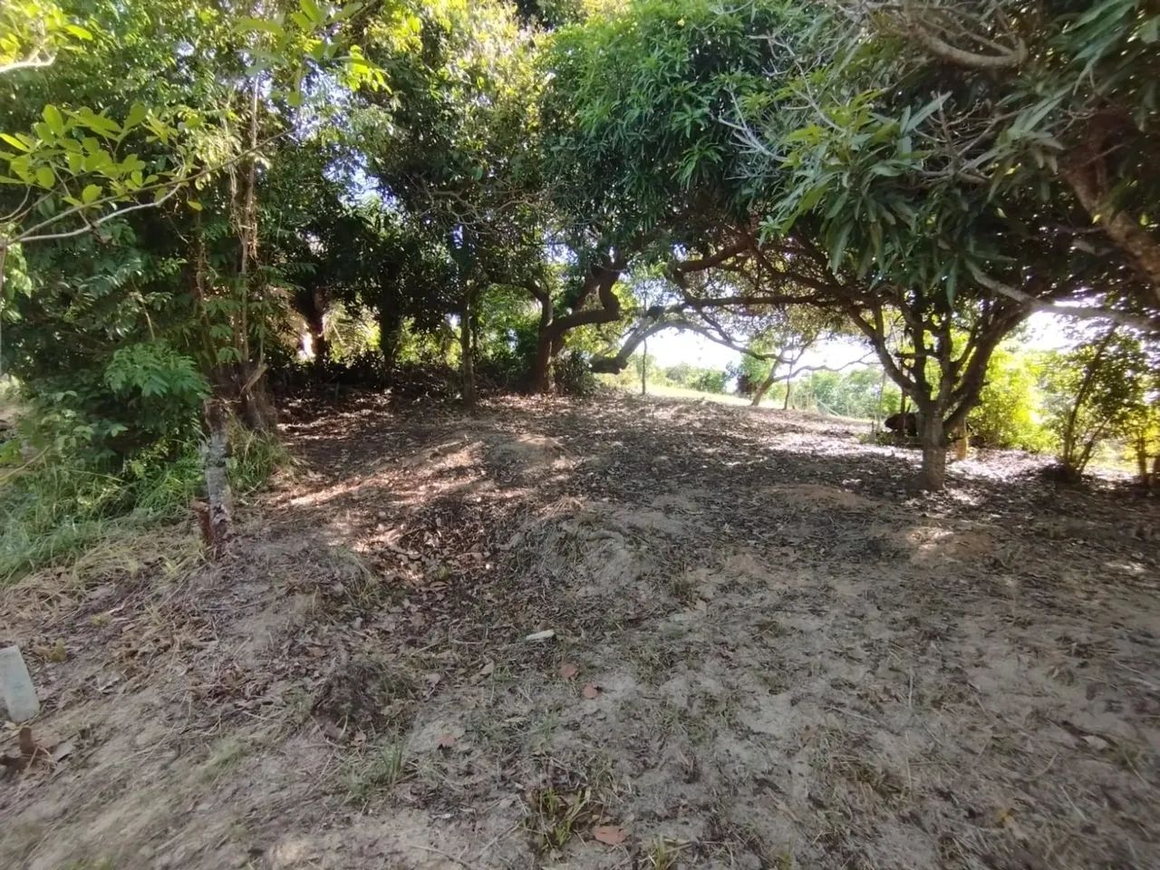 Imóvel para venda possui 144 metros quadrados em Amoreira - Itaparica - BA - Foto 5