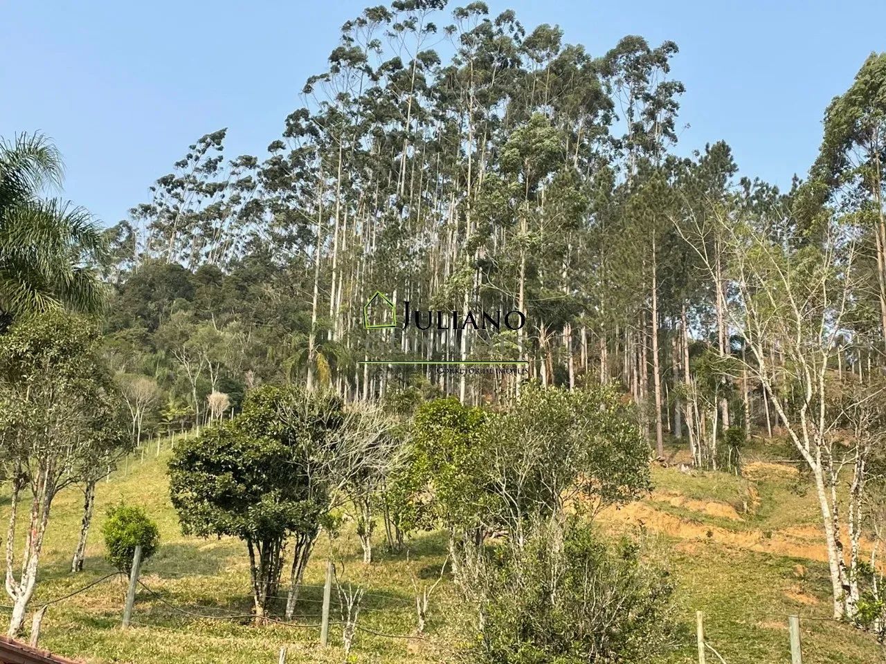 TERRENO com 5 hectares Á VENDA, com EXCELENTE LOCALIZAÇÃO, ANGELINA - SC - Foto 2
