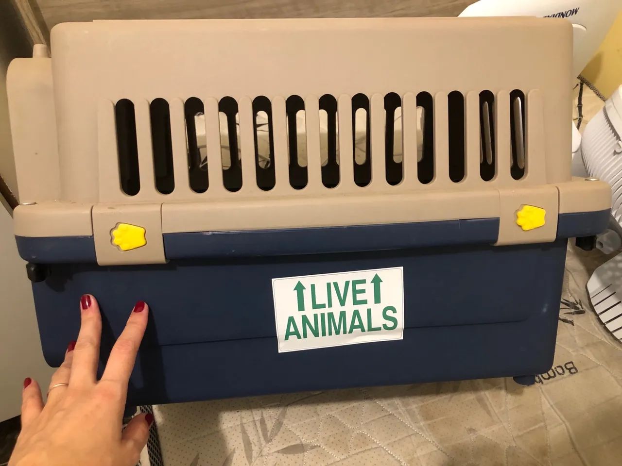 2 Caixas transportadora para Pets (cão e gato) tamanho N2  - Foto 4