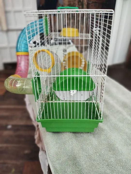 Gaiola para Roedores