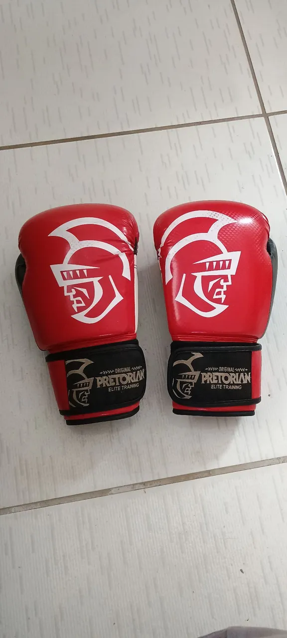 Luvas de Boxe Pretorian