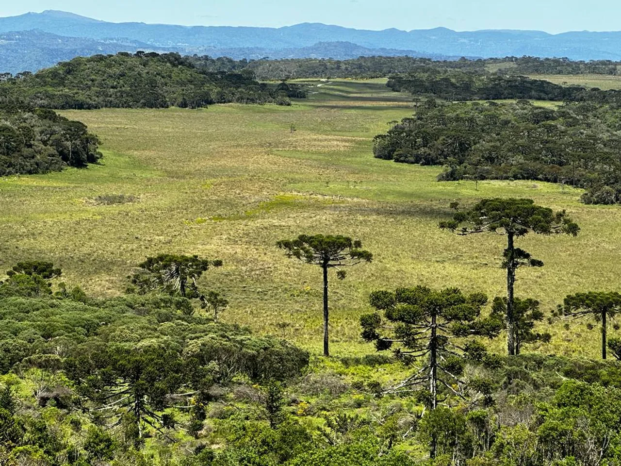Fazenda/Sítio/Chácara/Imóvel à venda em Urubici/SC