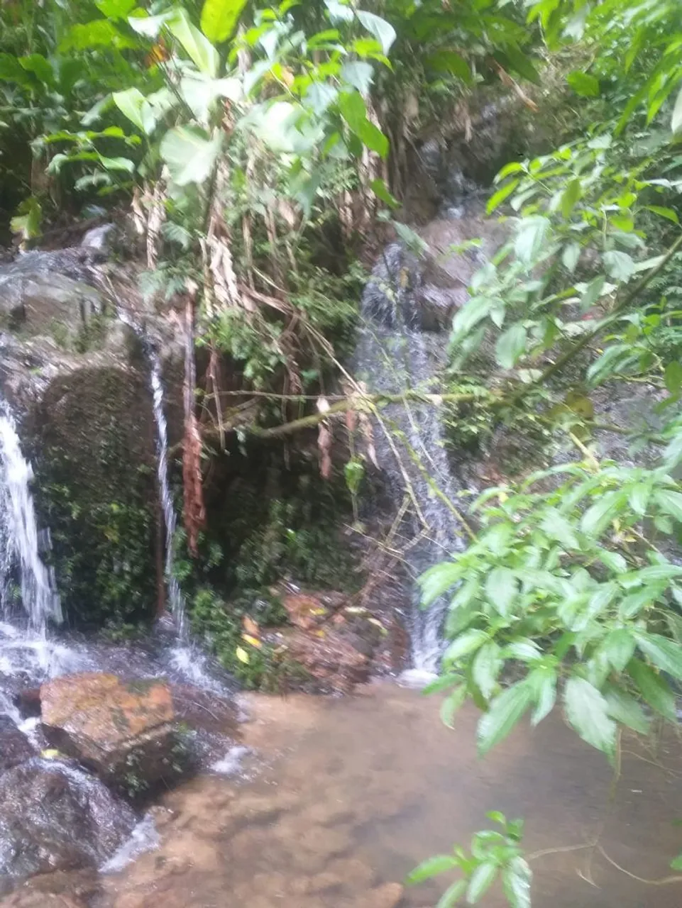 Grande oportunidade 2 hectares