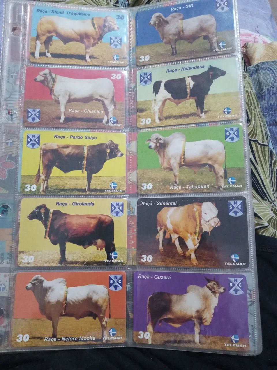 Coleção de Cartões de Animais Raças Bovinas - TELEMAR