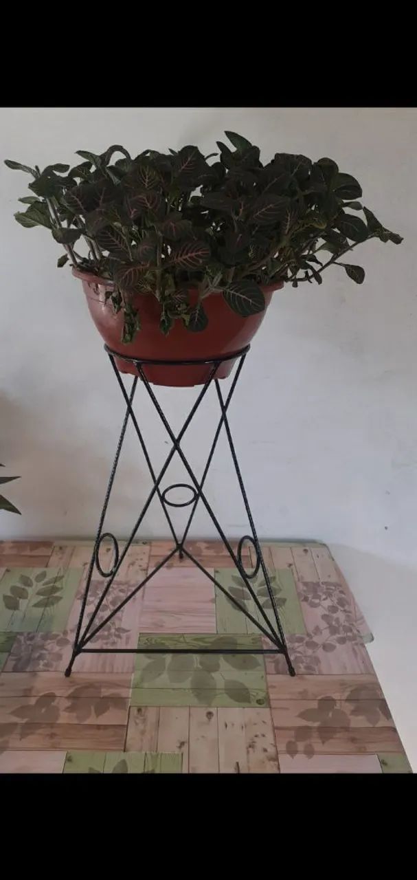 Suporte para plantas 