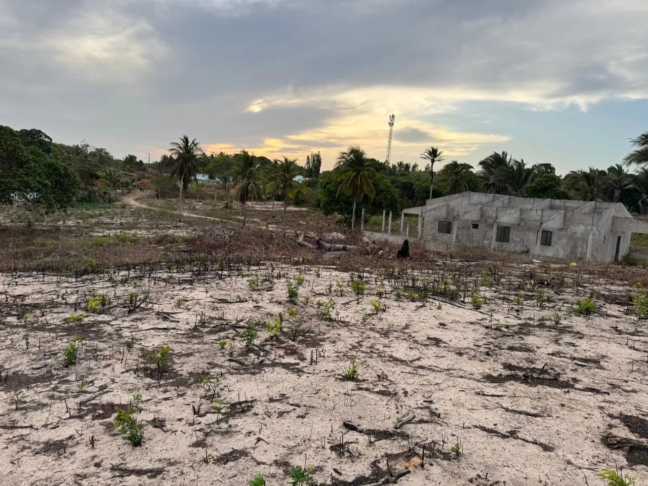 Terreno em Ribamar 40.000 metros  - Foto 6