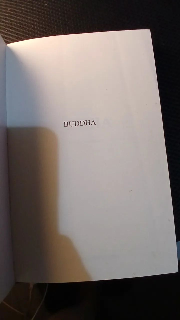 BUDDHA - Foto 3