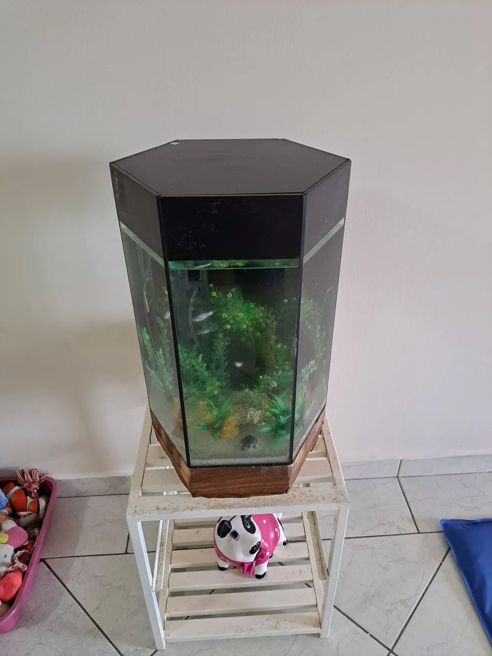 Aquário hexagonal  - Foto 2