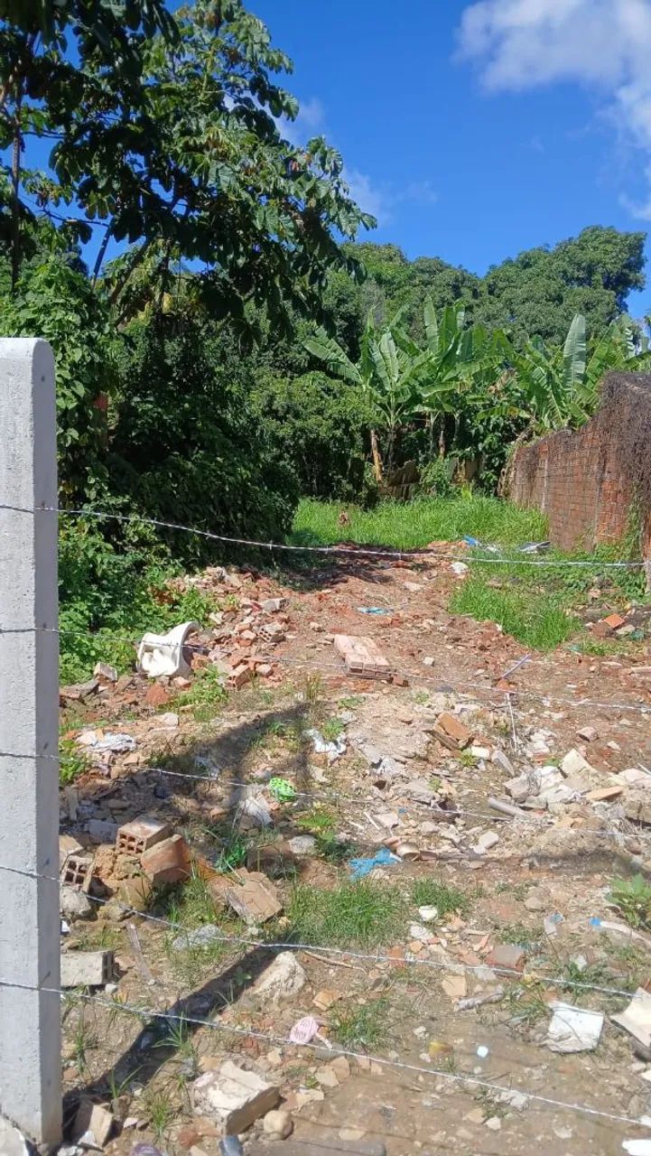 Terreno soledade 5x25 - Foto 4
