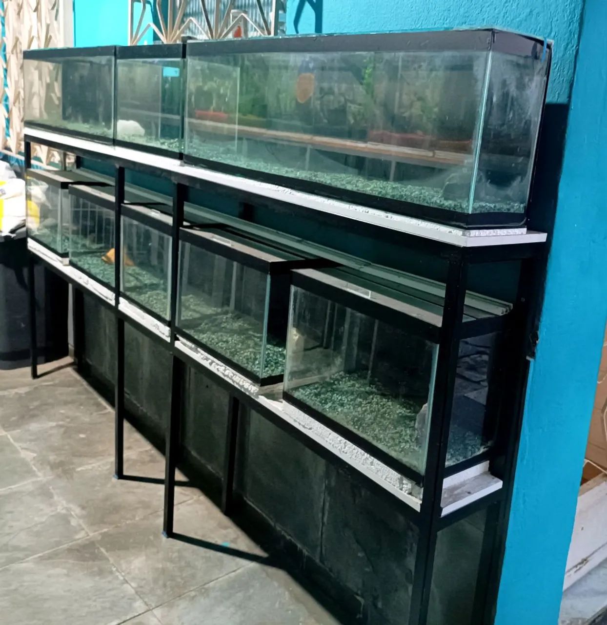 Bateria de Aquários - Foto 2