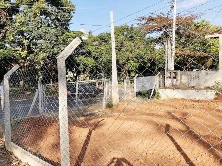 terreno - Jardim Bela Vista - Campinas - Foto 5