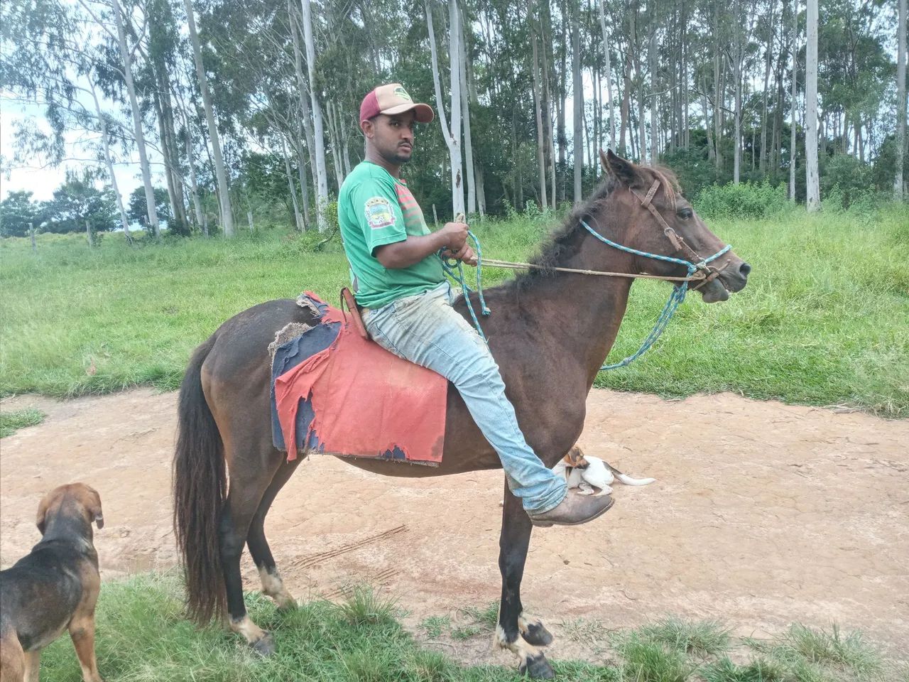 Vendo ou troco egua - Foto 4