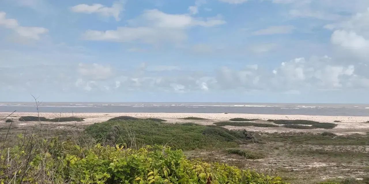 PRIMEIRA CRUZ-MA: Duas ilhas à venda com 360 hectares no Litoral Maranhense - Foto 10