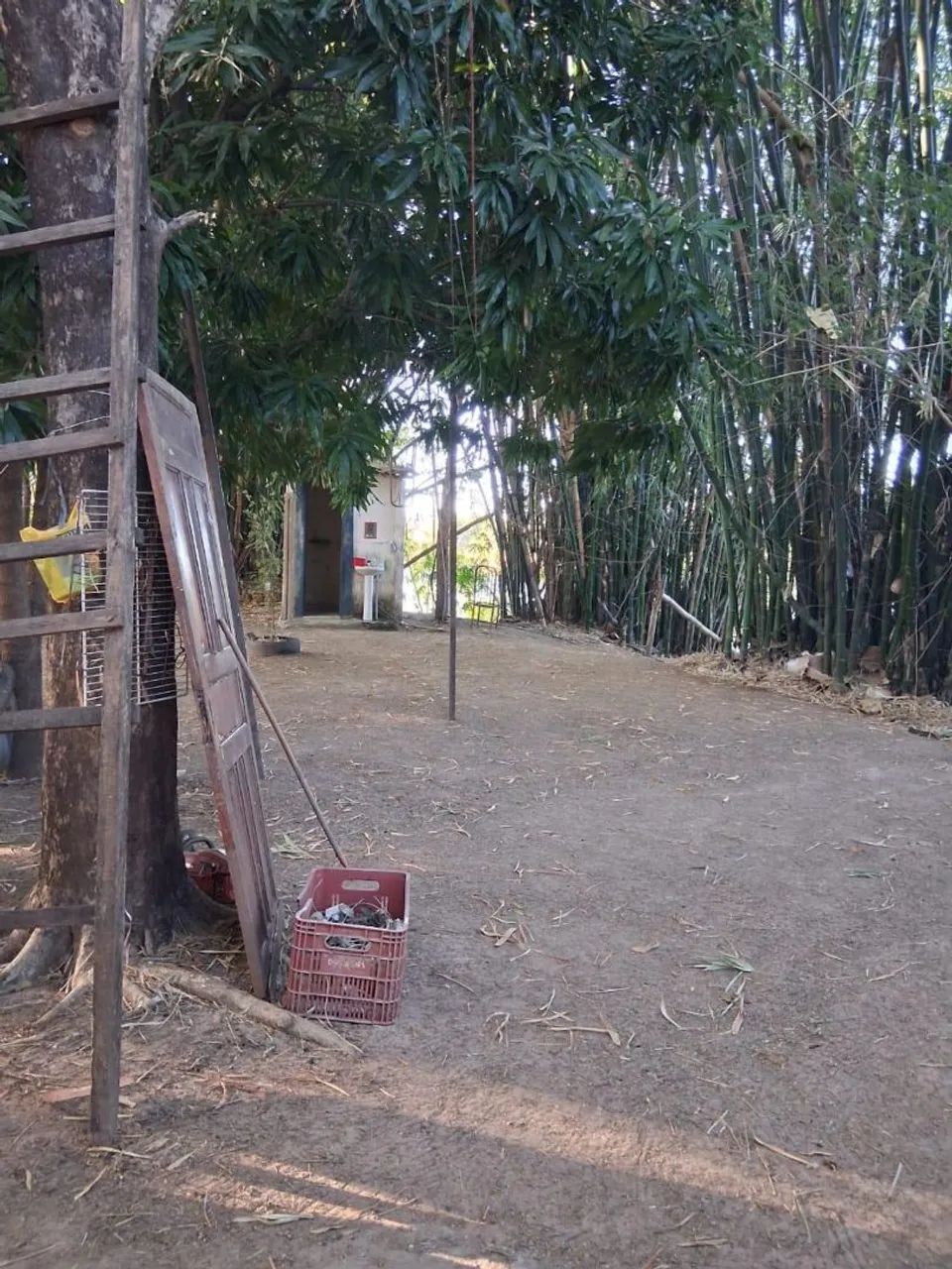 Vendo ilha próximo ao Peixe - TO - Foto 5