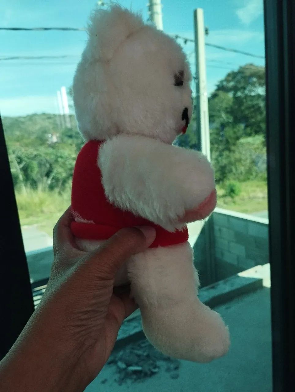 Urso apaixonado Lionella anos 80 - Foto 2