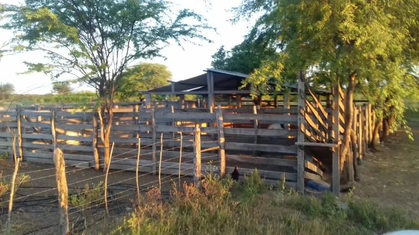 Fazenda sítio retiro - Foto 4