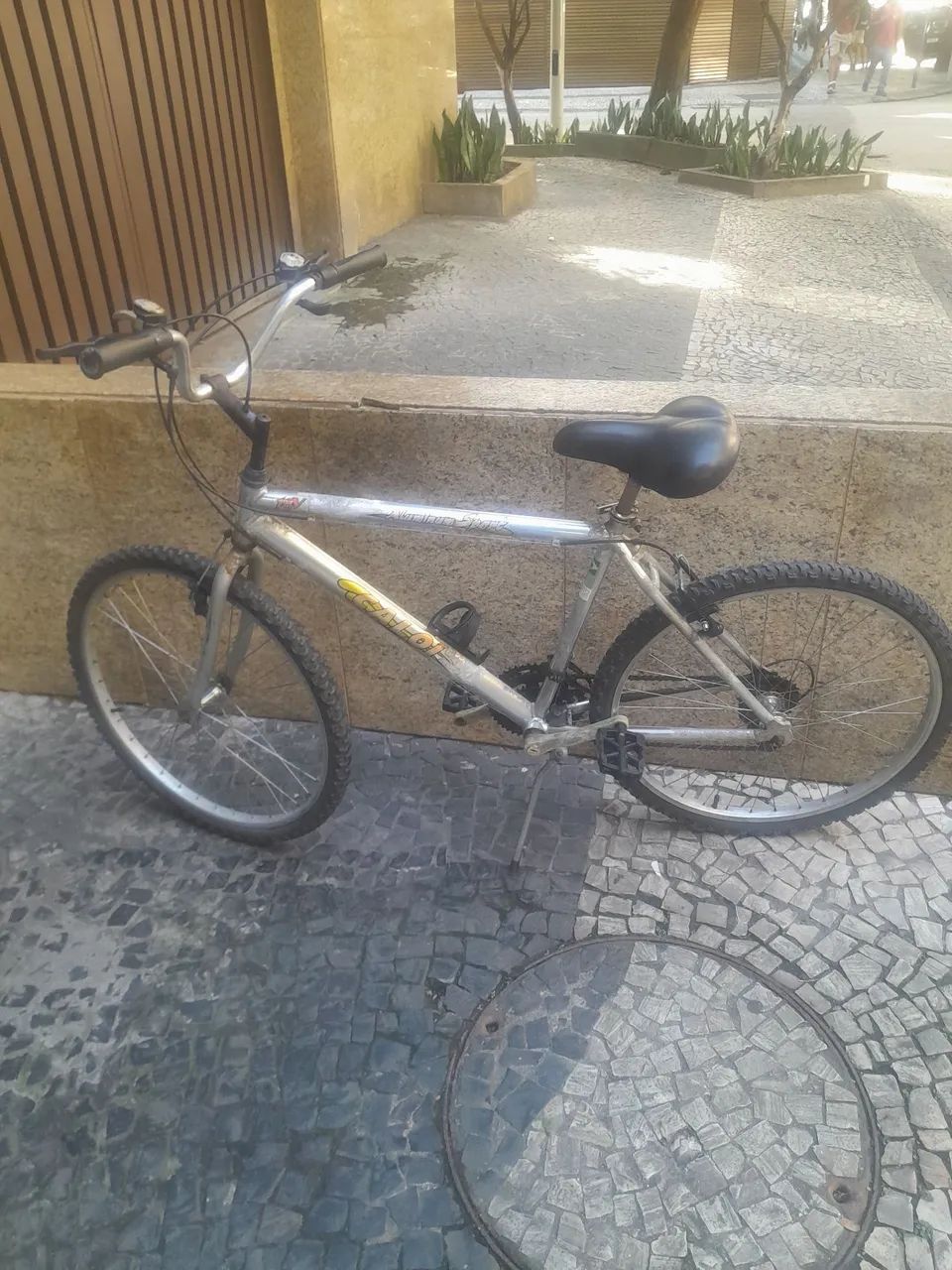Bicicleta 