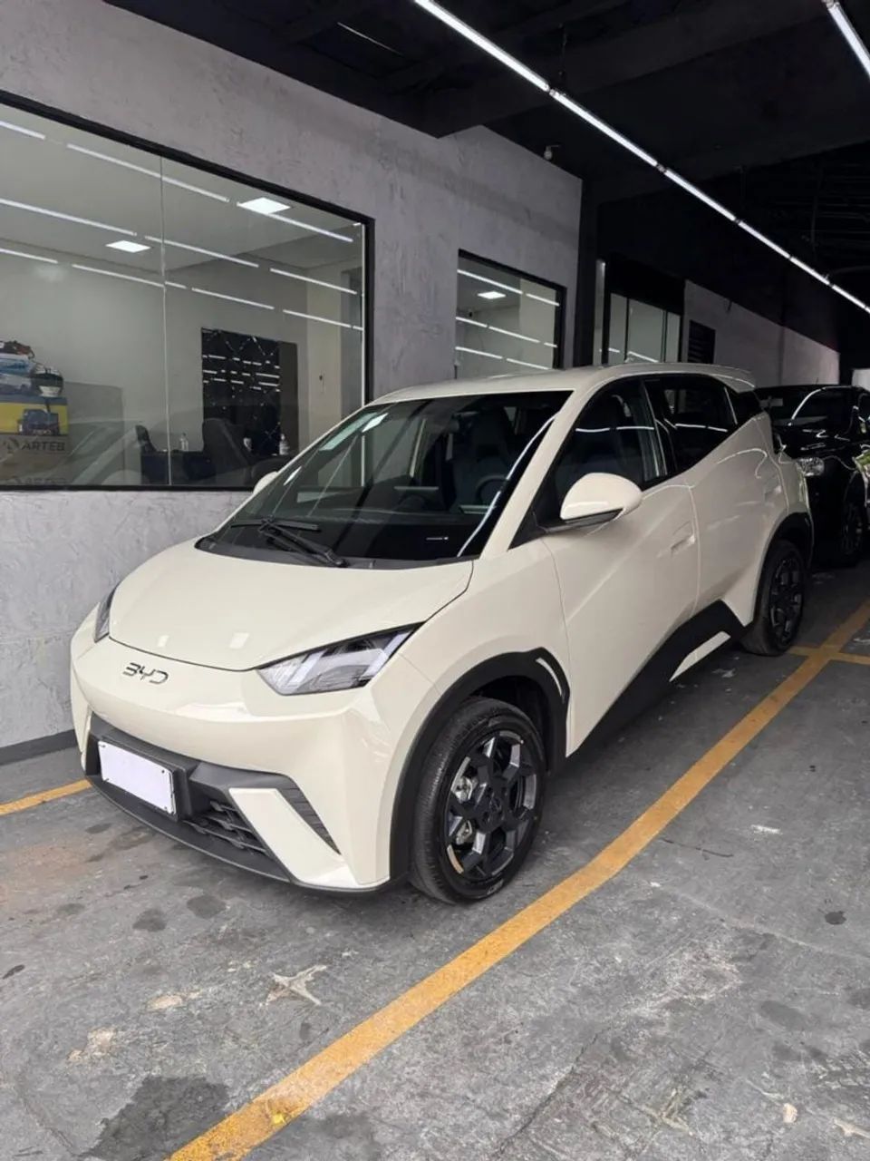 BYD Dolphin Mini GL 2026