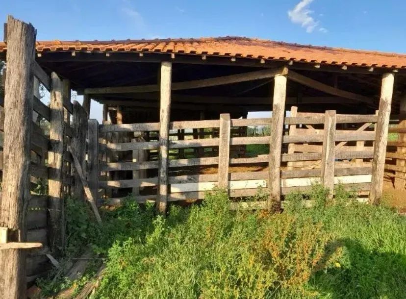 Sítio de 3,3 Alqueires  em Conchas-SP - Foto 3