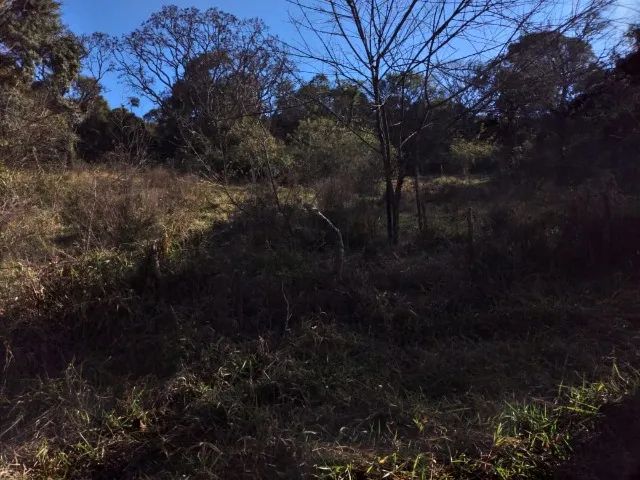 Sítio casa simples terreno com 10.000m2 - Foto 3
