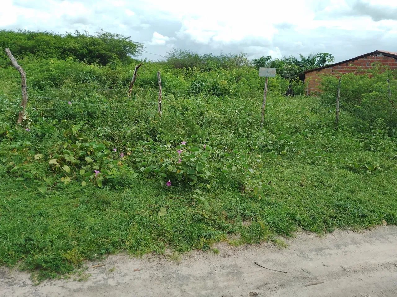 Vendo terreno em Itapipoca 