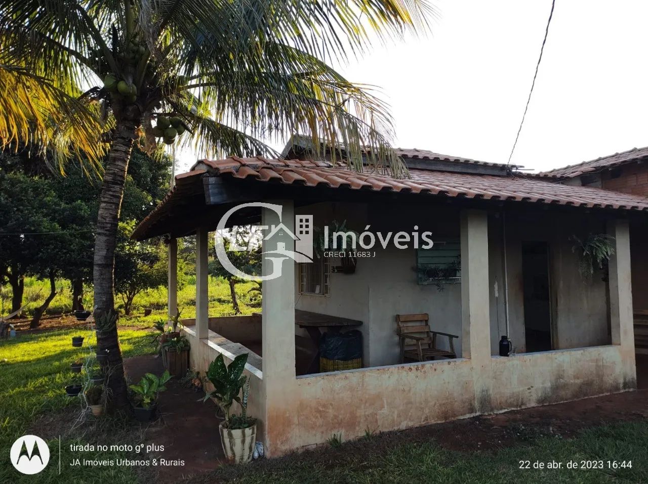 Chácara com Produção para o SEASA - Foto 2
