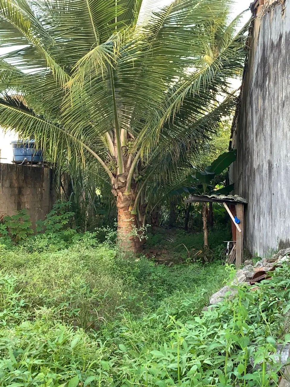 Terreno 5,8m x 26m - Foto 3