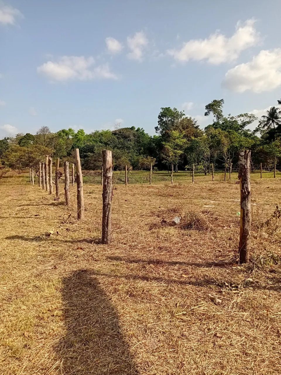 Vendo Terreno com 2 igarapé - Foto 4