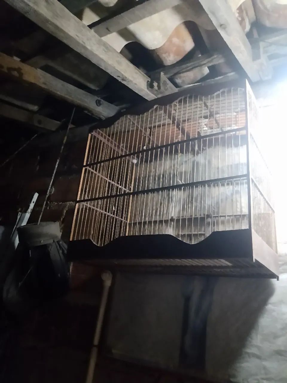 Gaiola