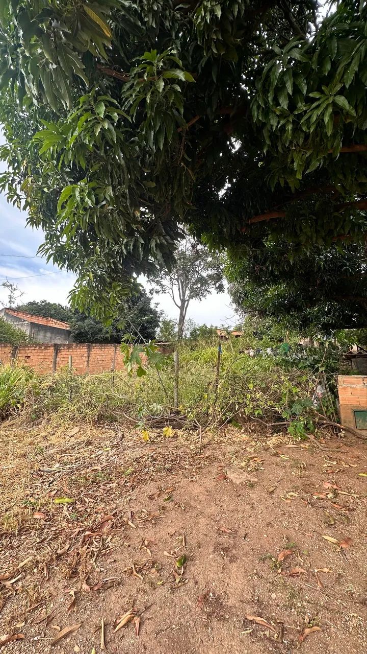 Foto - Goiânia - Park Lozandes