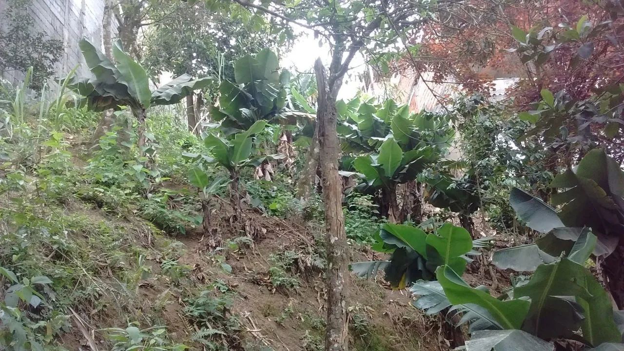VENDO OU TROCO TERRENO  - Foto 3