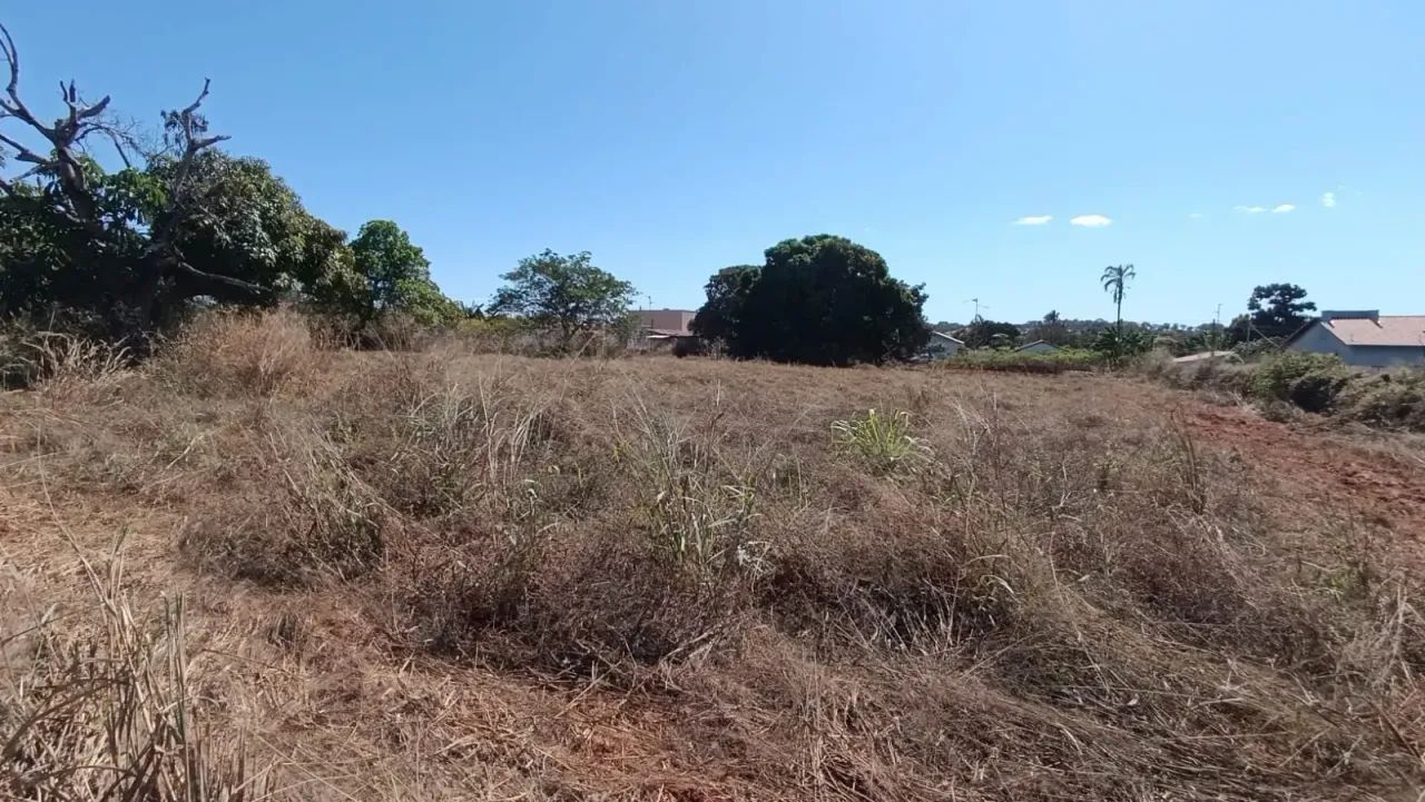 Área a venda em Novo Brasil - Foto 4