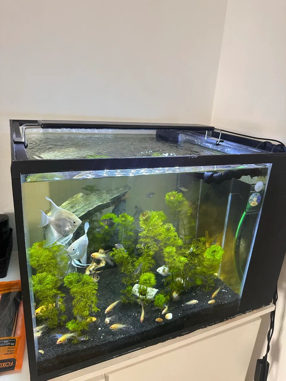 Aquário marinho 150Litros