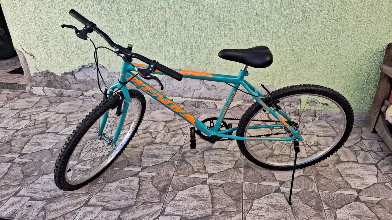 bicicleta 