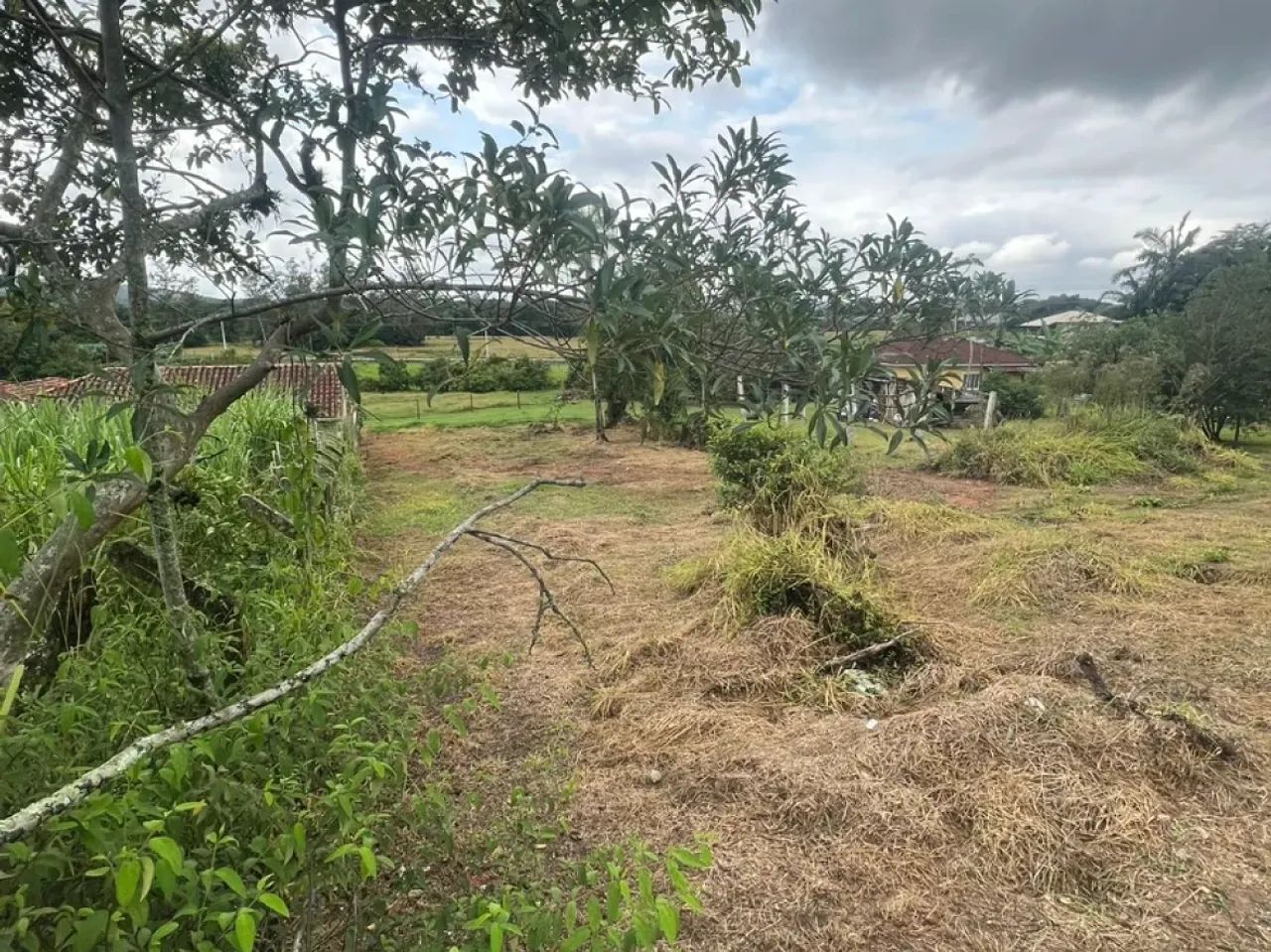 Lindo Terreno na Geral de Forquilhas - Foto 5