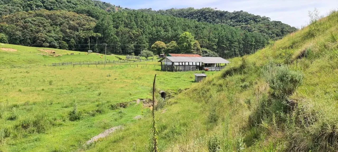 Sitio em Bom Retiro- Serra Catarinense -184.000 m² - Foto 5