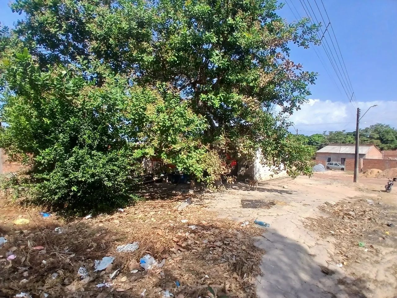 VENDO CASA NO RESIDENCIAL NESTOR  - Foto 4