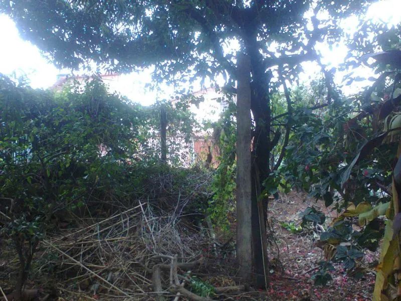 EXCELENTE LOTE 760 M2- SALGADO FILHO - Foto 2