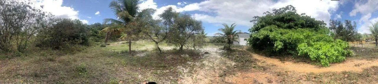 Terreno com 260.000m² no Distrito de Santa Isabel/Pirambu - Foto 4