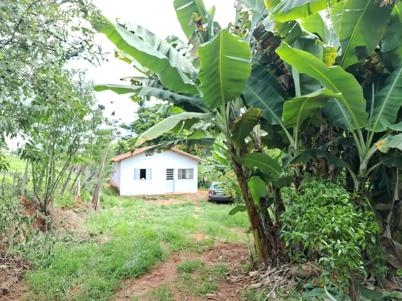 Chácara no Sul de MG  - Cidade Silvianópolis.  - Foto 3