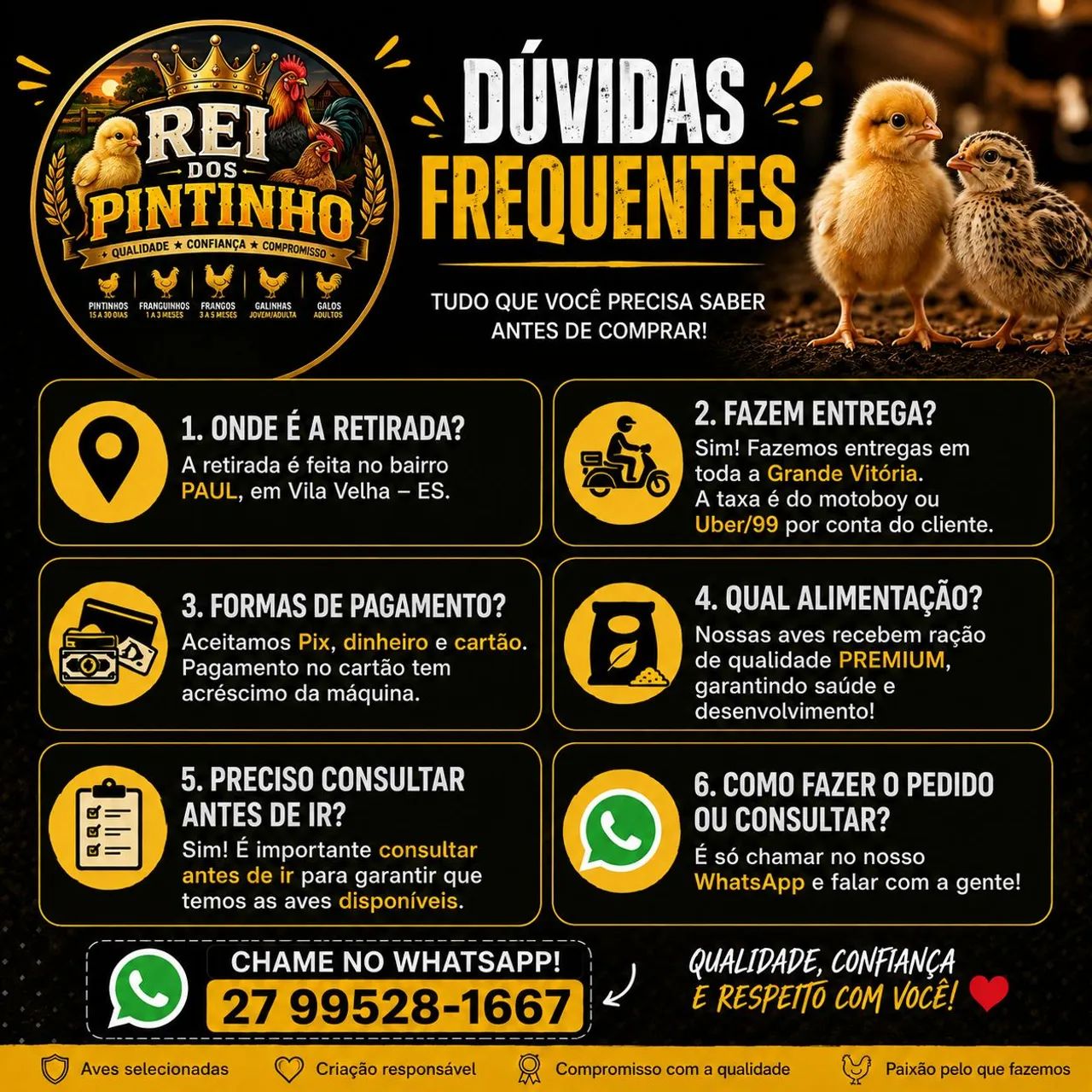 PINTINHOS, FRANGUINHOS, FRANGOS, GALINHAS E GALOS CAIPIRAS! - Foto 3